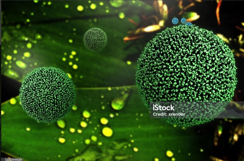 المسابقة التعليمية 2025 لمادة الأحياء - للصف الثالث ثانوي / القسم العربي